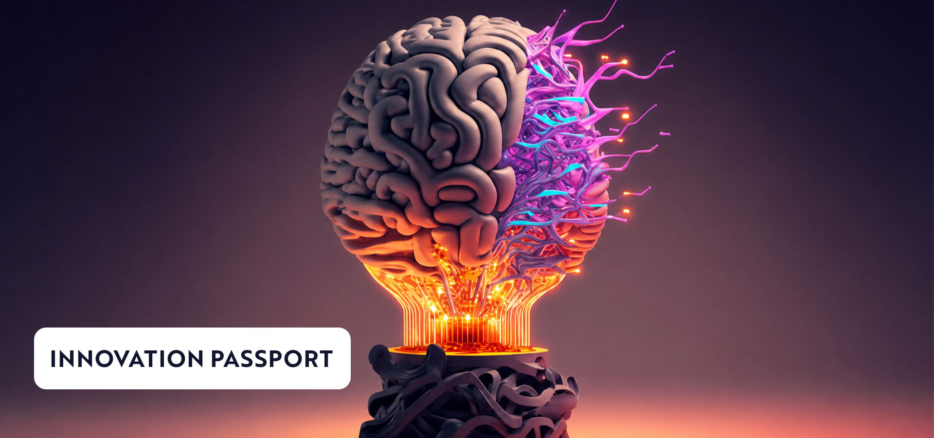 Innovation Passport - Your Passport to the Startupdom